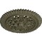 Ekena Millwork York Ceiling Medallion (Fits Canopies up to 3 5/8"), Hnd-Painted Painted Turtle, 21 5/8"OD x 2 1/2"P CM21YOPTF - alternate 3